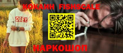 шишки Кимры