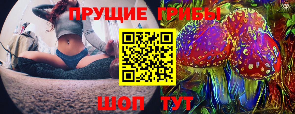 Галлюциногенные грибы MAGIC MUSHROOMS  Вход с VPN  Кирово-Чепецк 