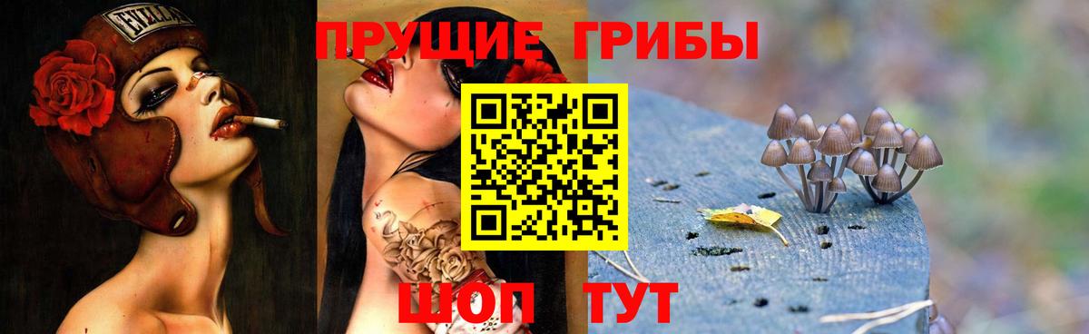 Псилоцибиновые грибы Cubensis Кирово-Чепецк